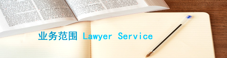 法律服务领域